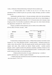 www.speros.lt